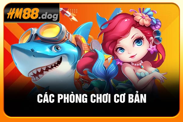 Các phòng chơi cơ bản