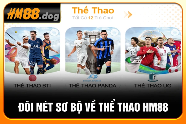 Đôi nét sơ bộ về thể thao HM88 Đôi nét sơ bộ về thể thao HM88