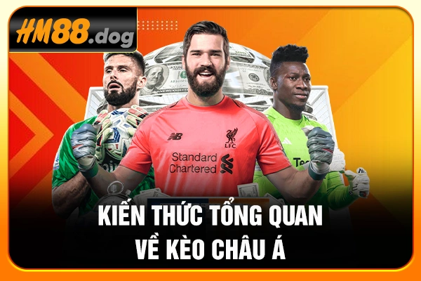 Kiến thức tổng quan về kèo châu Á Kiến thức tổng quan về kèo châu Á