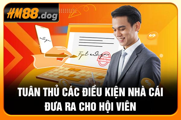 Tuân thủ các điều kiện nhà cái đưa ra cho hội viên